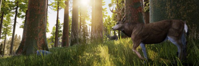 Hunting Simulator Goes into the Wild in Debut Trailer
