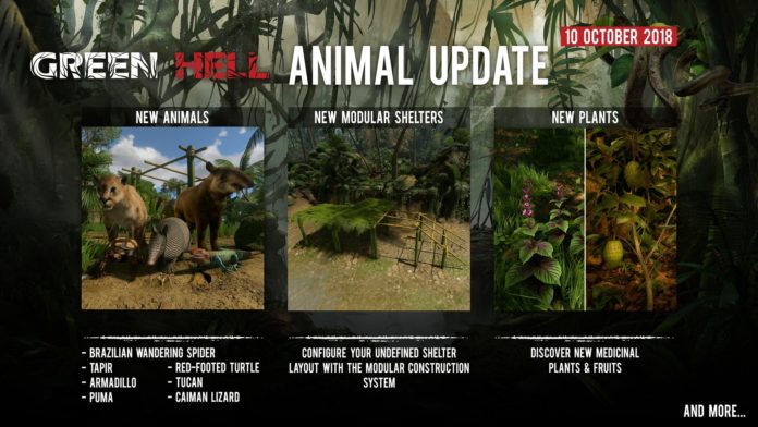 Green Hell Launches the Animal Update - Pumas n' Spiders n' Lizards, Oh My!